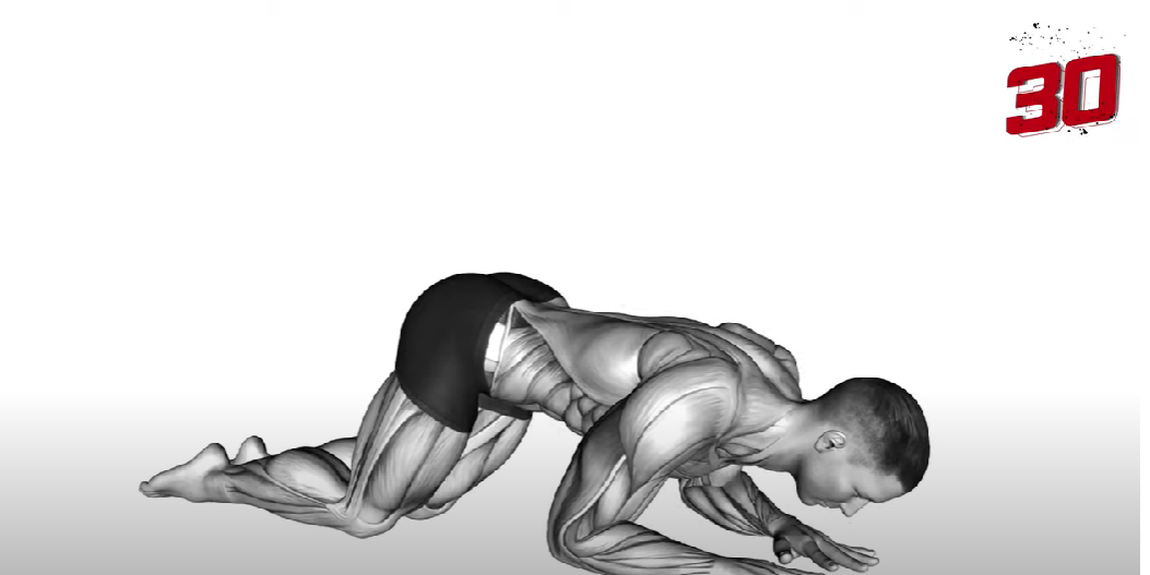 THE BEST EXERCISES FOR BIGGER TRICEPS